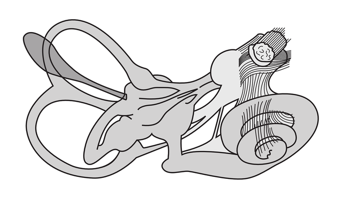 image.alt